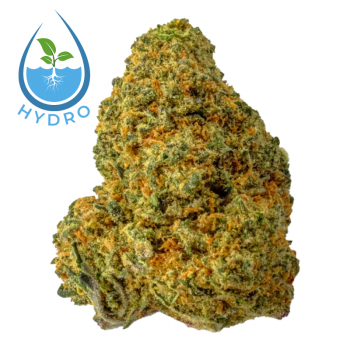 MAC Hydro CBD