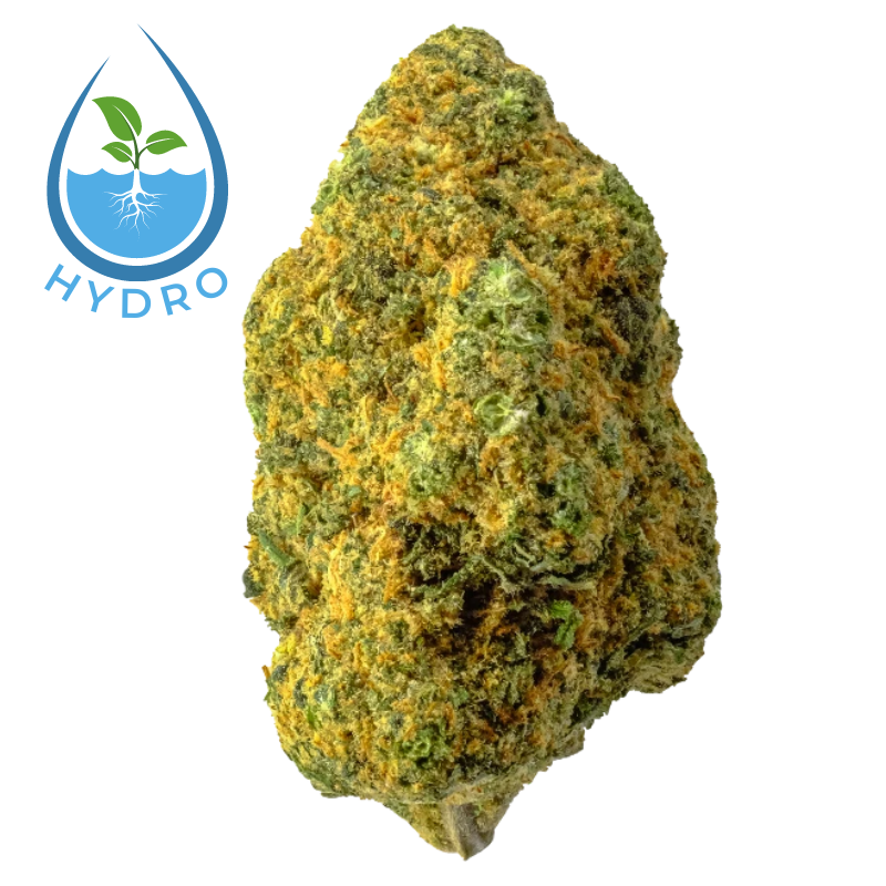 Gelonade Hydro CBD