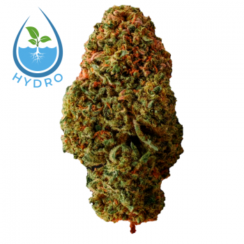 Candy Hydro CBD