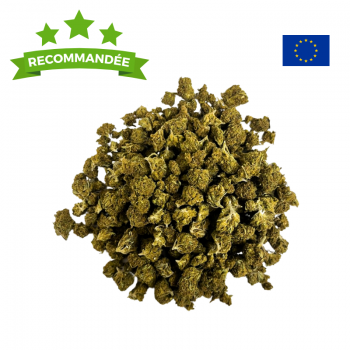 Small Buds Kompolti CBD - Premium Indoor