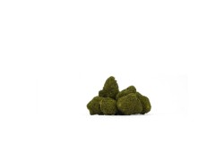 Amnesia Cryo 14% - Frozen CBD