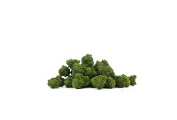 Small Buds White Gorilla CBD