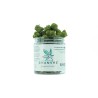 Small Buds White Gorilla Cup