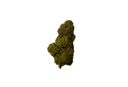 AK-47 CBD