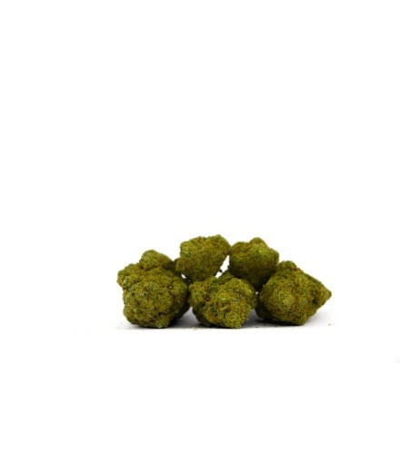 Dolce Gelato Indoor CBD