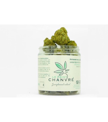 Dolce Gelato Indoor CBD