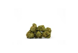 Melon Cake Indoor CBD