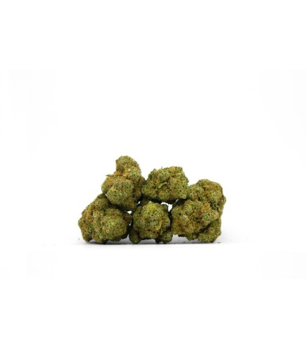 Melon Cake Indoor CBD