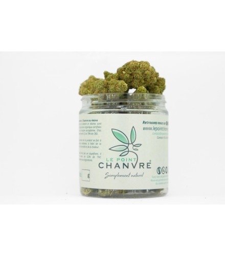 Melon Cake Indoor CBD
