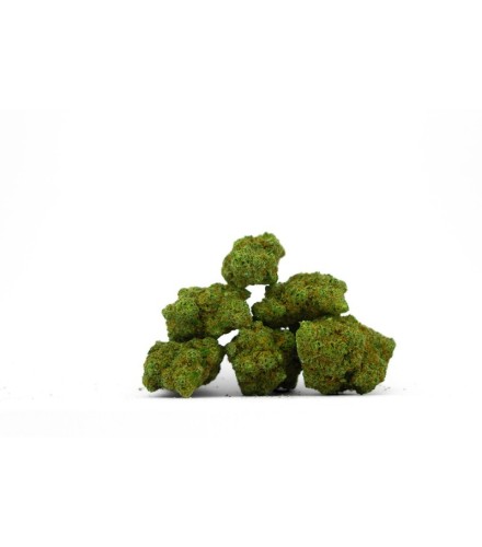 Lemon Meringue Indoor CBD
