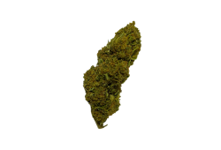 White Widow CBD