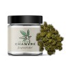 Small Buds Remedy CBD