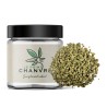 Small Buds CBD