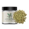 Small Buds CBD