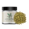 Small Buds CBD