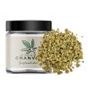 Small Buds CBD