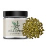 Small Buds CBD