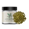 Small Buds CBD