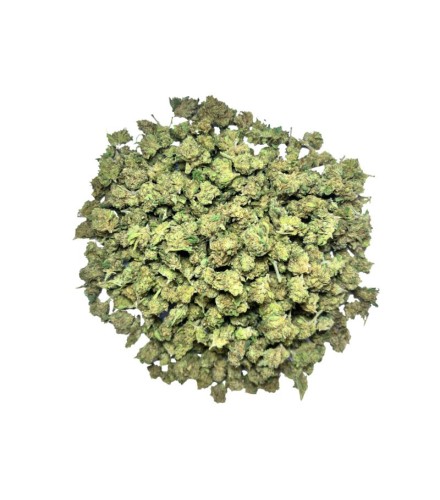 Small Buds CBD