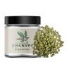 Small Buds CBD