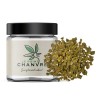 Small Buds CBD