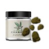 X-Haze Hydro CBD