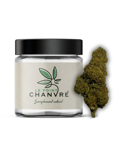 Exotic Haze CBD