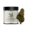 Exotic Haze CBD