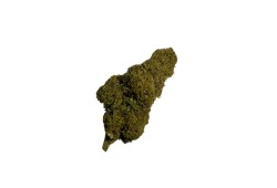 Exotic Haze CBD