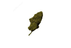Skywalker OG CBD