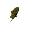 Skywalker OG CBD