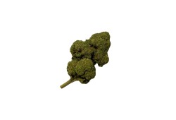 Candy Kush CBD