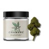 Candy Kush CBD