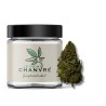 Pink Lady CBD