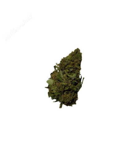 Pink Lady CBD