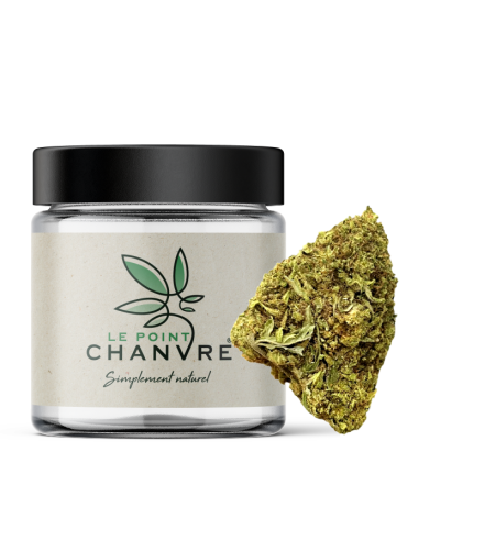 Therapy CBD