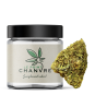 Therapy CBD