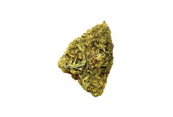 Therapy CBD