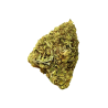 Therapy CBD