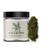 Tutti Frutti CBD
