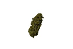 Tutti Frutti CBD