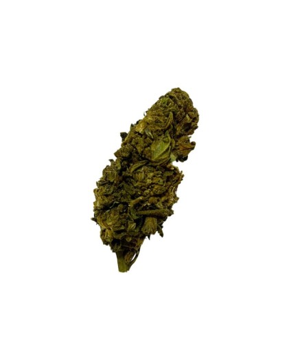 Tropicana Cookie CBD