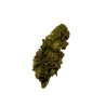Tropicana Cookie CBD