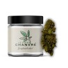 Tropicana Cookie CBD