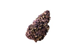 Purple Haze CBD