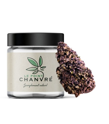 Purple Haze CBD