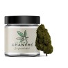 Watermelon CBD