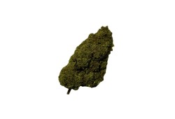Watermelon CBD