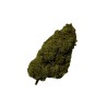 Watermelon CBD