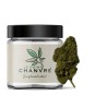 Critical Berry CBD